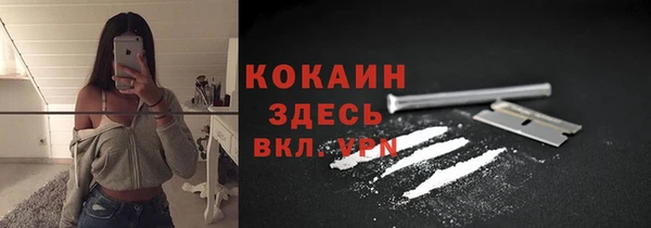 спиды Волосово