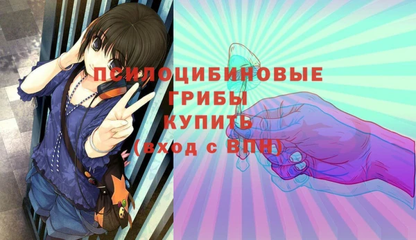 спиды Волоколамск